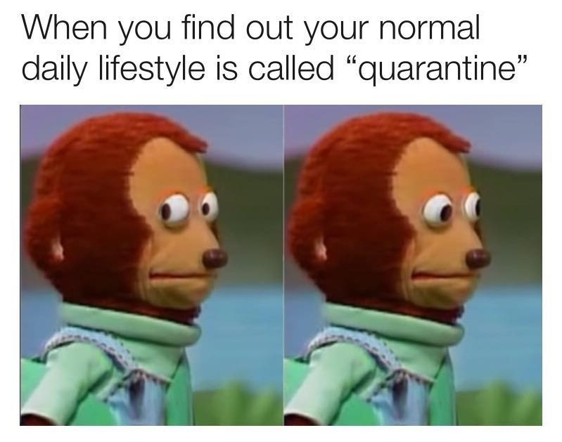 when-you-find-out-your-nomal-daily-lifestyle-is-called-quarantine-meme